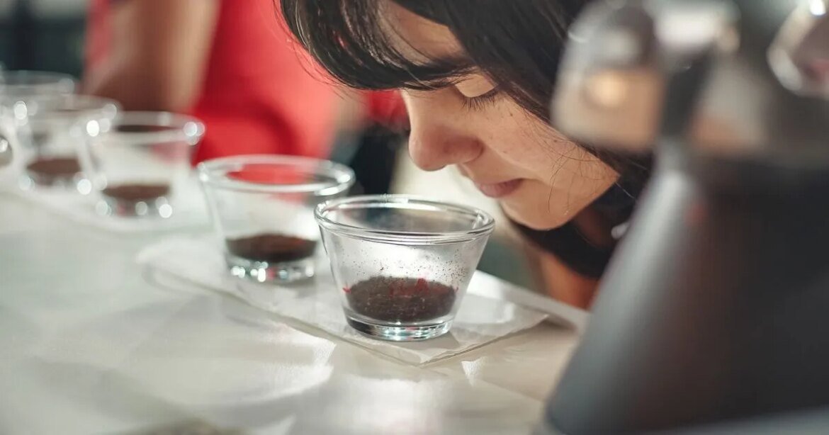 atilla-torradores-abre-inscricoes-para-curso-de-torra-de-cafes-especiais-em-bh