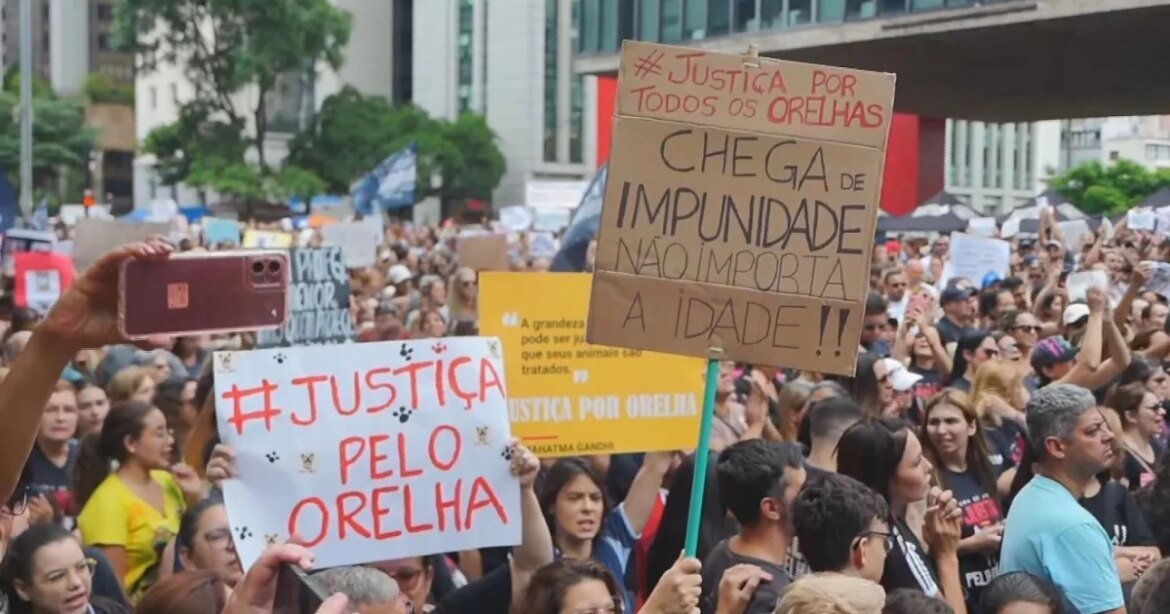 adolescente-acusado-de-matar-cao-orelha-nao-pode-ser-internado,-preve-eca