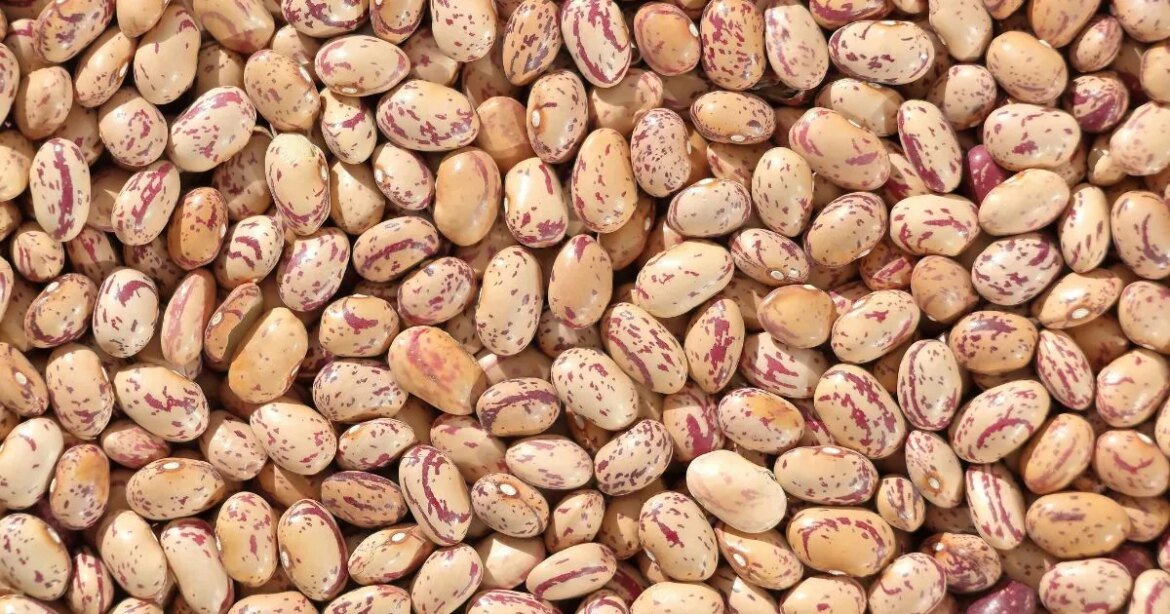 feijao-carioca-atinge-maior-preco-da-historia-em-fevereiro-e-puxa-alta-da-cesta-basica