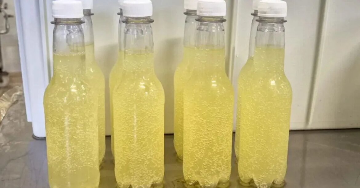 ‘refrigerante-do-bem’:-bebida-mineira-de-soro-de-leite-promete-revolucionar-o-mercado