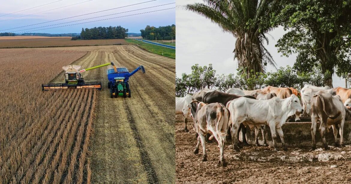 vbp-da-agropecuaria-deve-cair-4,6%,-com-faturamento-de-r$-1,4-trilhao-em-2026